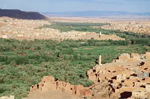Towns: MOROCCO - TODRA PALMERY & TOWN