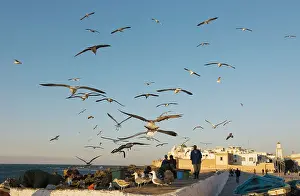 Essaouira: Morocco - View from the port entrance with its