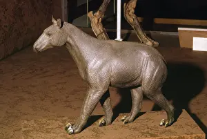 Model: Morpus - prehistoric reconstruction