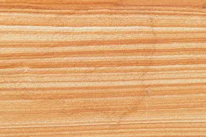 Sedimentary: Morsum-Kliff / Morsum ciff - a geological monument