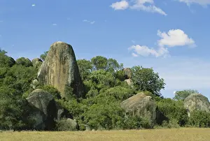 Intrusion: Moru Kopje, Serengeti