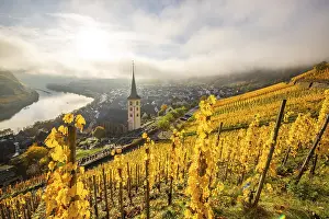 Vine: The Moselle Loop, a beautiful river makes a 180-degree loop