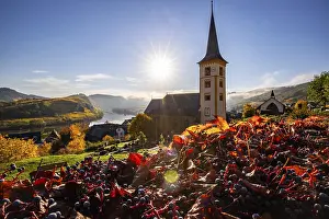 Vine: The Moselle Loop, a beautiful river makes a 180-degree loop