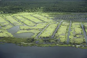 Mosquito: Mosquito Control Ditches