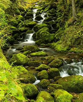 Slovenia: Many moss-covered boulders and small mountain creek