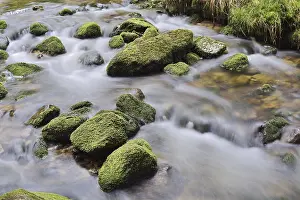 Brook: Mossy stones in a mountain stream