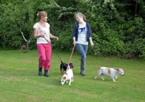 Leads: Mother and daughter walking dogs on lead across field