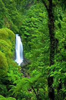 Twin: Mother Falls, one of the twin Falls of Trafalgar
