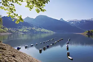 Boats: Motorboats moored at the reservoir