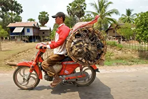 Motorcycle: Motorcyclist carrying Cambodia Pigs on a motorbike