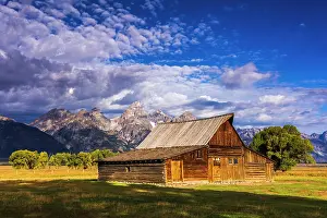 Weathered: The Moulton Barn on Mormon Row, Grand Teton National