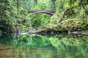 Wilson: Moulton Falls Regional Park, Yacolt, Washington
