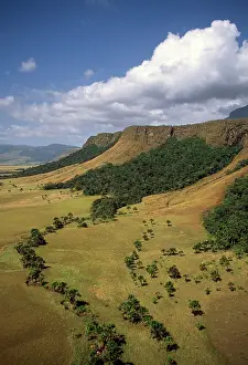 Tepui: Mount Auyantepui (Auyantepuy, Devil's Mountain)