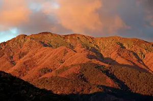 Bogong: Mount Bogong