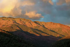 Bogong: Mount Bogong