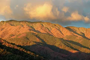 Bogong: Mount Bogong