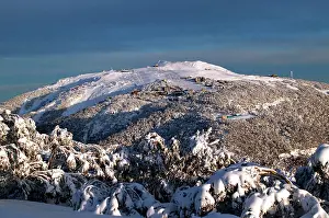Buller: Mount Buler ski resort from Corn Hill Mount Buller