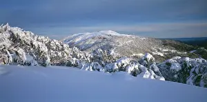 Skiing: Mount Buller and Buller Village Ski Resort
