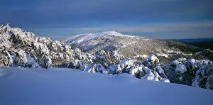 Buller: Mount Buller ski resort from Corn Hill Mount Buller