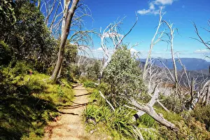 Victoria: Mount Buller walking and biking trail known as Split R