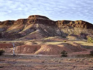 Jean-marc La Roque: Mount Chambers gorge, 60 km north east of Blinman