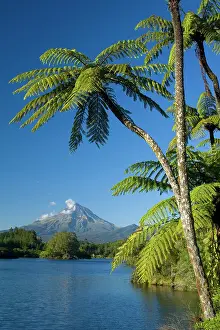 Egmont: Mount Egmont - lake, tree ferns and perfectly cone-shaped
