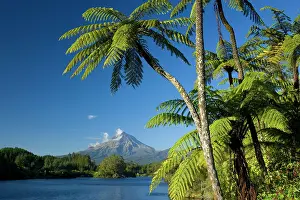 Egmont: Mount Egmont - lake, tree ferns and perfectly cone-shaped