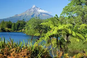 Egmont: Mount Egmont - lake, tree ferns and perfectly cone-shaped
