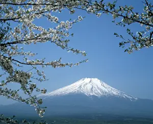 Fuji: Mount Fuji