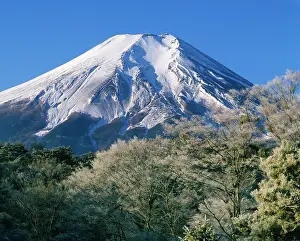 Fuji: Mount Fuji