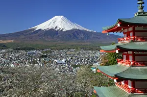 Multi: Mount Fuji and five story pagoda Fujiyoshida city Yamanashi