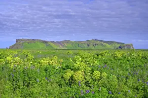 Viking: Mount Hjnrleifshnfdi (Viking Tomb), Mordalur, SuEurland
