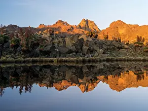 Gigantic: Mount Kenya National Park (a UNESCO World