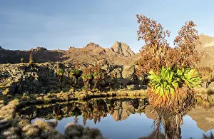 Gigantic: Mount Kenya National Park (a UNESCO World