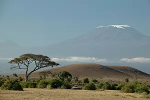 Snowcap: Mount Kilimanjaro with savanna and herds