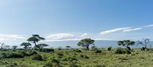 Kilimanjaro: Mount Kilimanjaro seen from Amboseli National