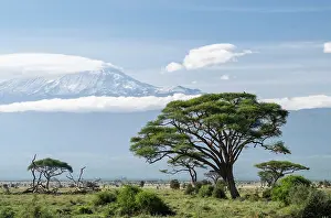 Amboseli: Mount Kilimanjaro seen from Amboseli National