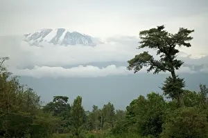 Kilimanjaro: Mount Kilimanjaro - Snow melting on summit