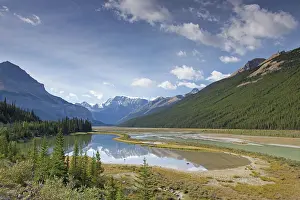 Icefields: Mount Kitchener reflection