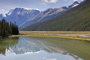 Icefields: Mount Kitchener reflection