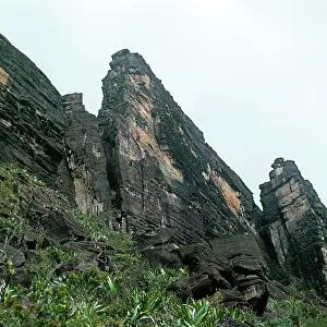 Tepui: Mount Kukenaam (Kukenan, Kukenan, Cuguenan)