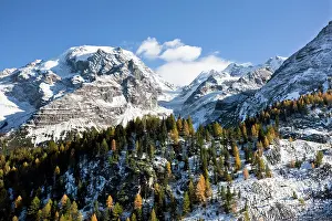 Larix: Mount Ortler (3905m) in south Tyrol with