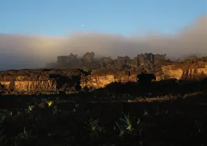 Roraima: Mount Roraima summit: rockshapes in a labyrinth