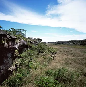 Roraima: Mount Roraima summit, swamp and scrub