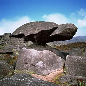 Roraima: Mount Roraima summit: turtle rock