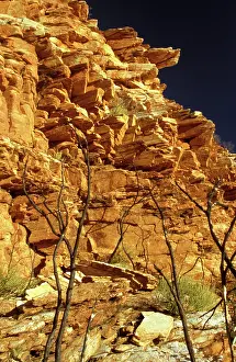 Macdonnell: Mount Sonder at sunrise. West MacDonnell Ranges