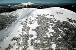 Stirling: Mount Stirling with Mount Buller in the background