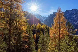 Belluno: Mountain with autumnal colored mountain forest with