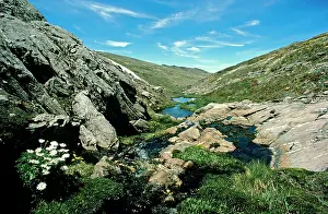 Kosciuszko: Mountain creek in spring Kosciuszko National Park