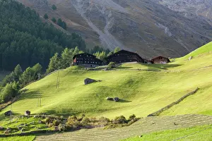 Vernagt: Mountain farm Tisenhof in valley Schnalstal